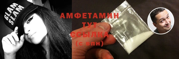молекула духа Тайга