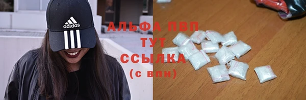 дживик Баксан