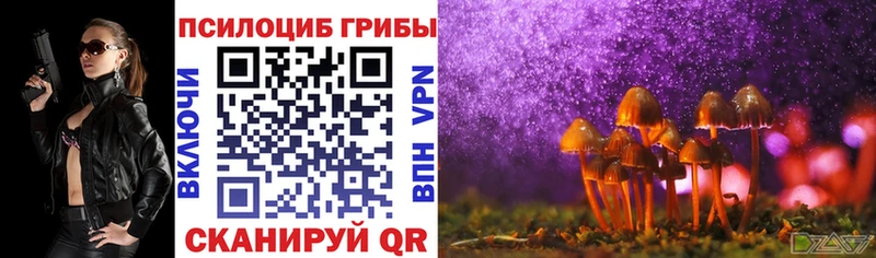 MEGA ссылка наркота Верхний Уфалей Псилоцибиновые грибы Psilocybe