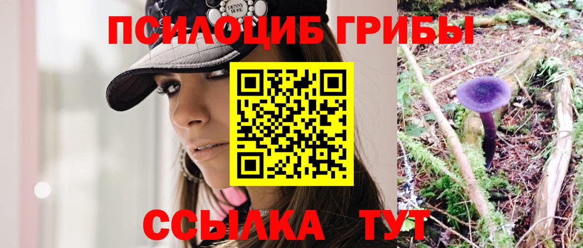 Псилоцибиновые грибы Cubensis  Галлюциногенные грибы Psilocybe  Верхний Уфалей 